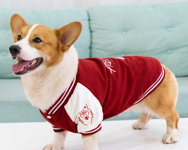 Geaca cu nasturi pentru caini