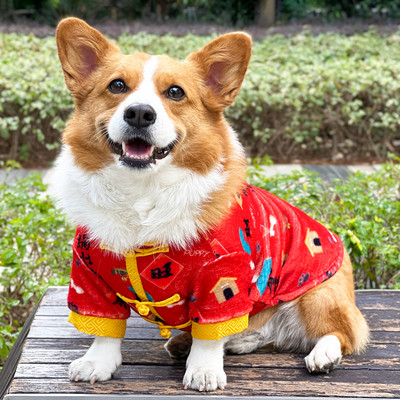 Χρωματιστό μπουφάν για σκύλους σε κόκκινο χρώμα