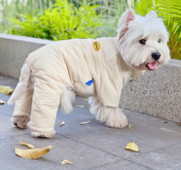 Kahes värvitoonis koerte jalgadega talveriided