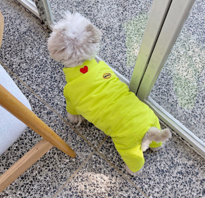 Kahes värvitoonis koerte jalgadega talveriided