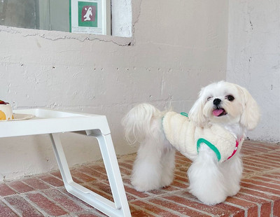 Sulevest nööpidega