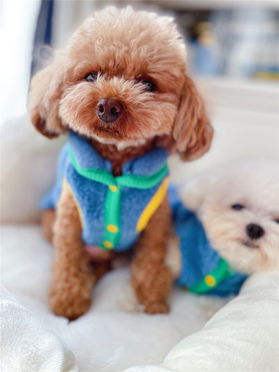 Sulevest nööpidega