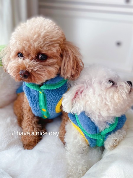 Sulevest nööpidega