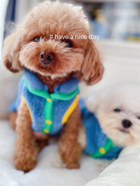 Sulevest nööpidega