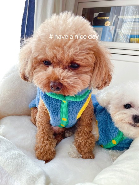 Sulevest nööpidega