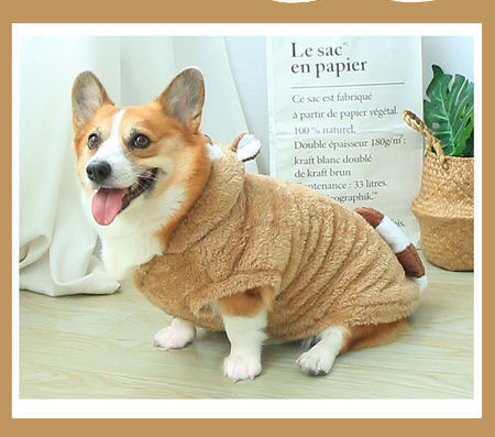 Pruun kapuutsiga sulepluus koertele