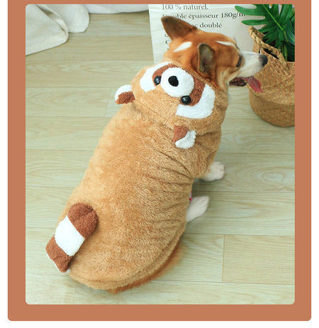 Pruun kapuutsiga sulepluus koertele