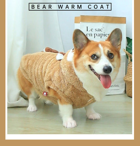 Pruun kapuutsiga sulepluus koertele