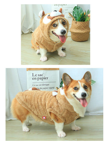 Pruun kapuutsiga sulepluus koertele