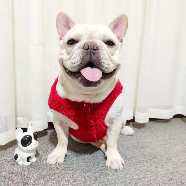 Haine pentru câini de pluș cu broderie