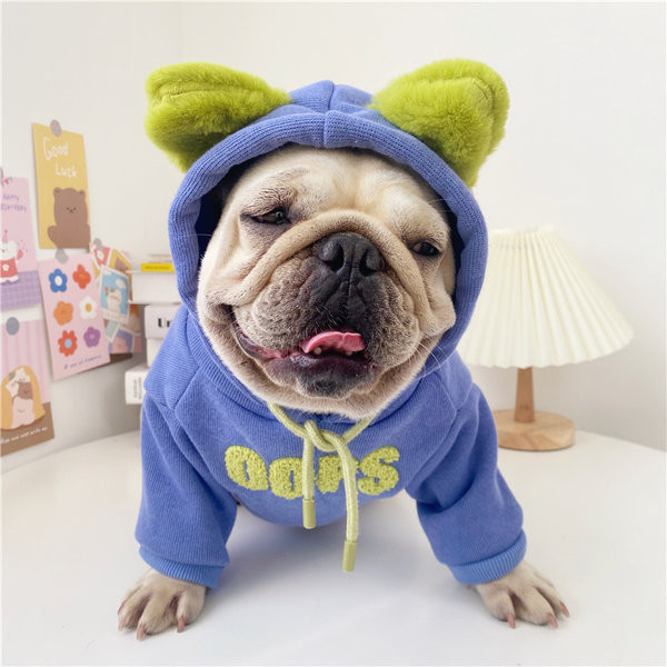 Kapuutsiga kampsun koertele