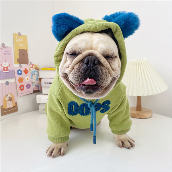 Kapuutsiga kampsun koertele