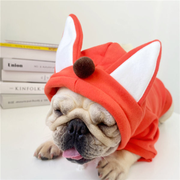 3D kapuutsiga soe talvejope koertele