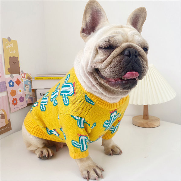 Moodne koera kampsun kahes värvitoonis