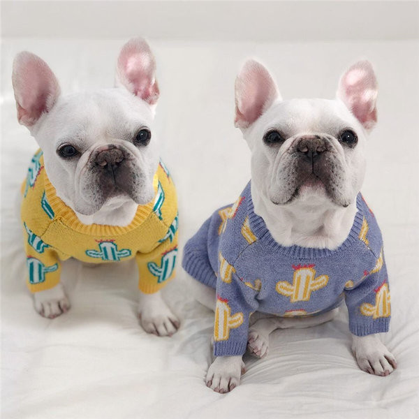 Moodne koera kampsun kahes värvitoonis