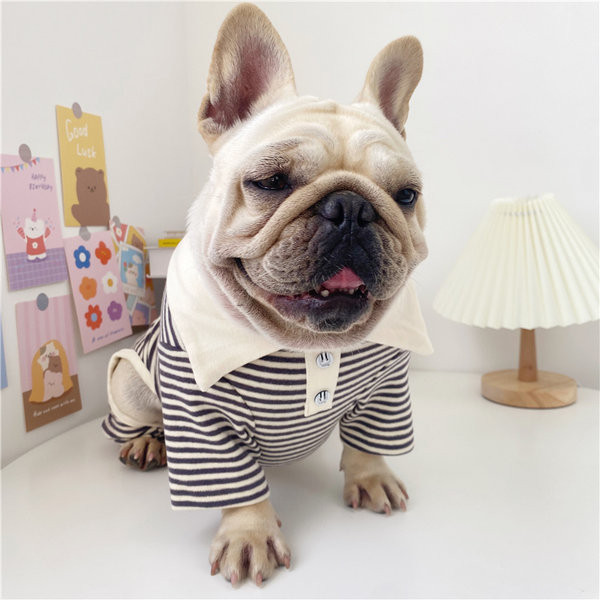 Triibuline kaelarihmaga kombinesoon koertele