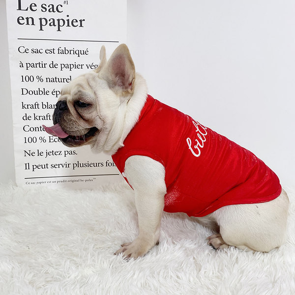 Stiilne nööpidega koerapolsterdatud vest