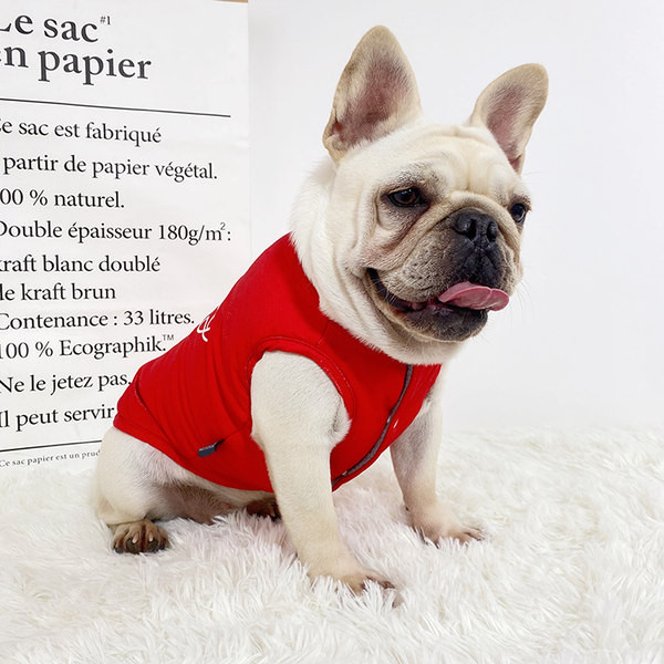 Stiilne nööpidega koerapolsterdatud vest