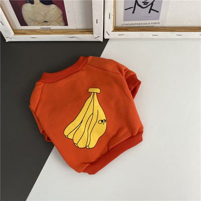 Värviline aplikatsiooniga rõivas koerale