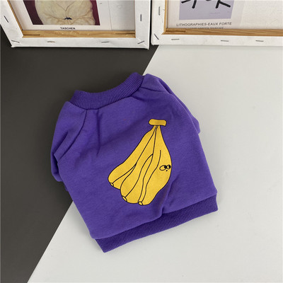 Värviline aplikatsiooniga rõivas koerale