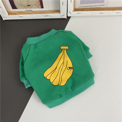 Värviline aplikatsiooniga rõivas koerale