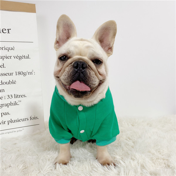 Värviline aplikatsiooniga rõivas koerale