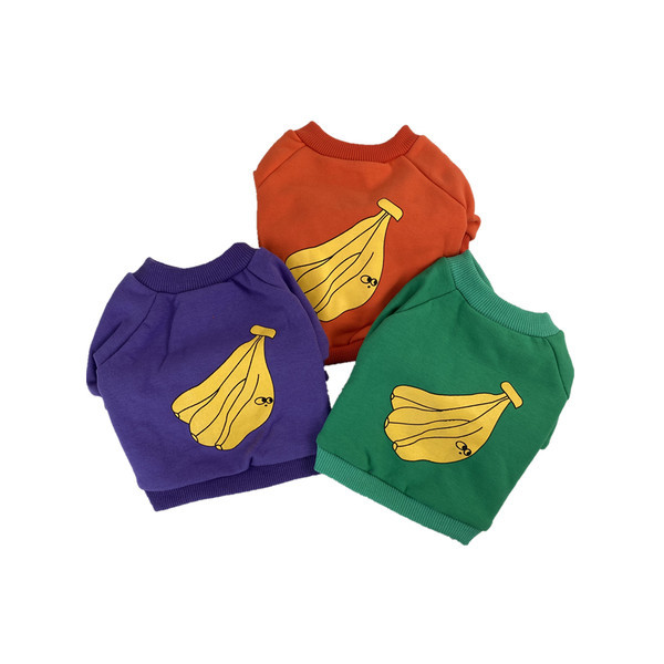 Värviline aplikatsiooniga rõivas koerale