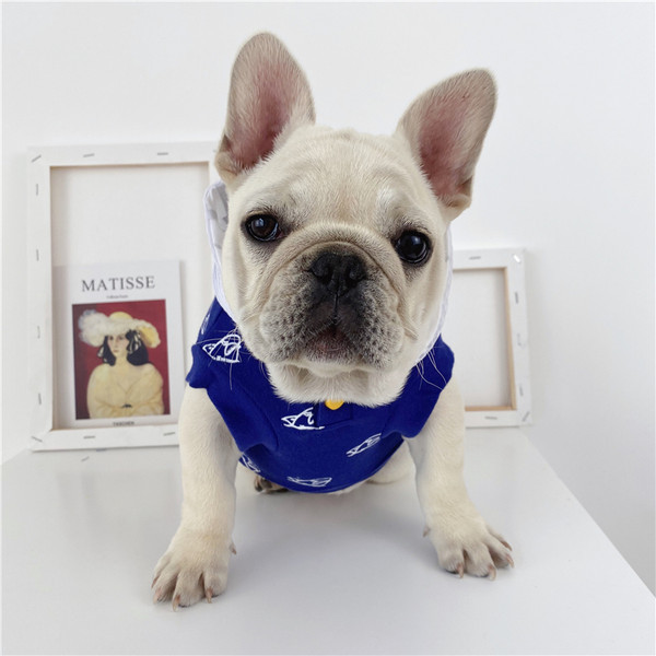 Õhuke nööpidega vest koertele