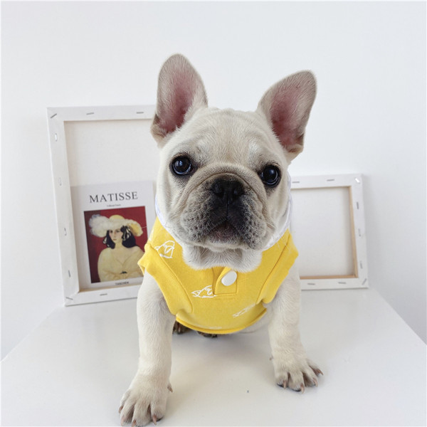 Õhuke nööpidega vest koertele