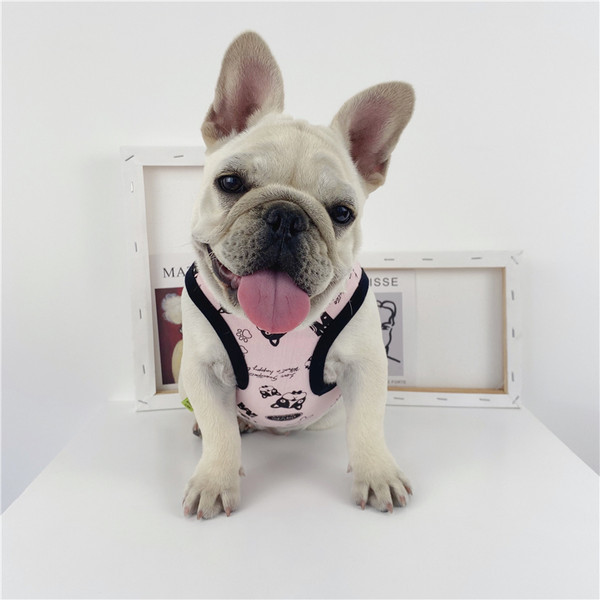 Puuvillased koerariided