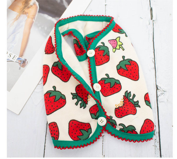 Nööpidega vest koertele