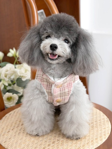 Ruuduline sulevoodriga vest koertele