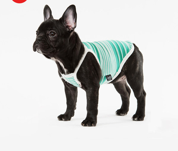 Haine cu dungi pentru caini in doua culori