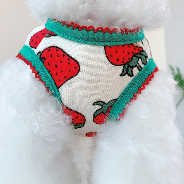 Rakendustega riided koerale