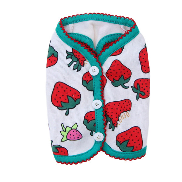 Rakendustega riided koerale