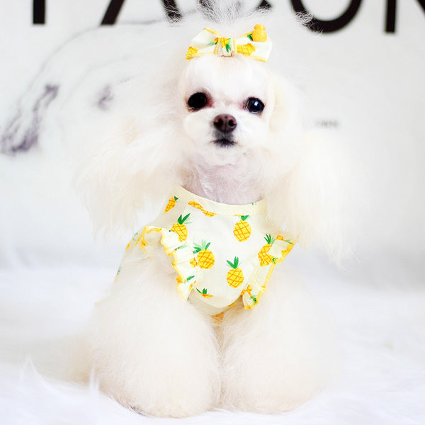 Rochie de vara pentru caine cu imprimeu color