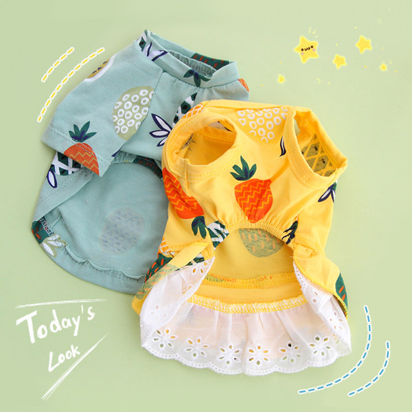 Nelja värvi T-särk koertele