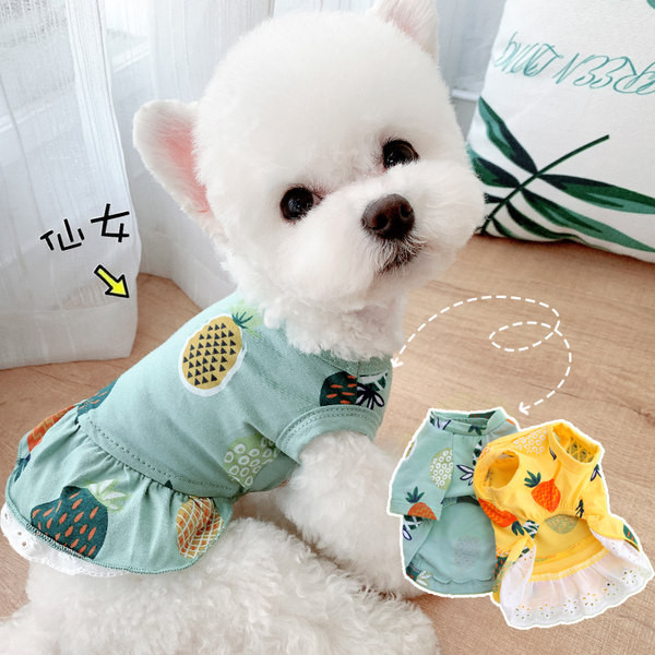 Nelja värvi T-särk koertele