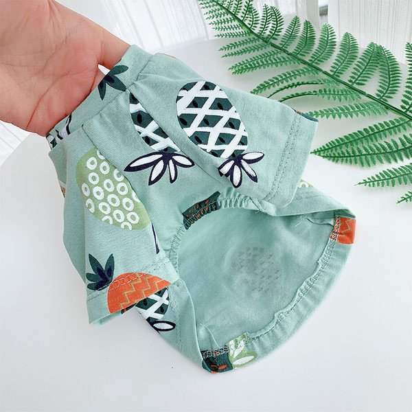 Nelja värvi T-särk koertele