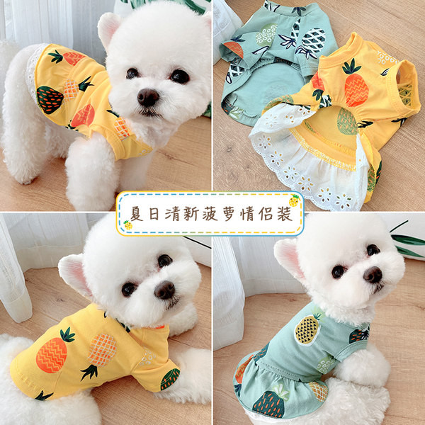 Nelja värvi T-särk koertele