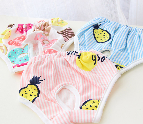 Värvilise mustriga triibulised koerapüksid