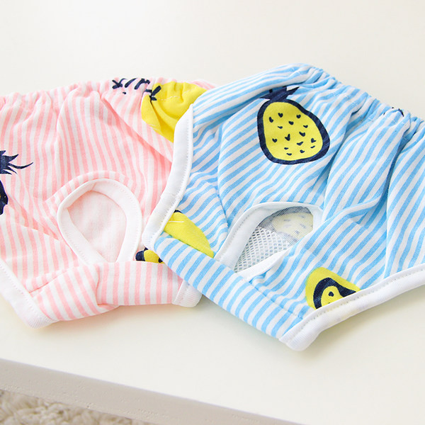 Värvilise mustriga triibulised koerapüksid