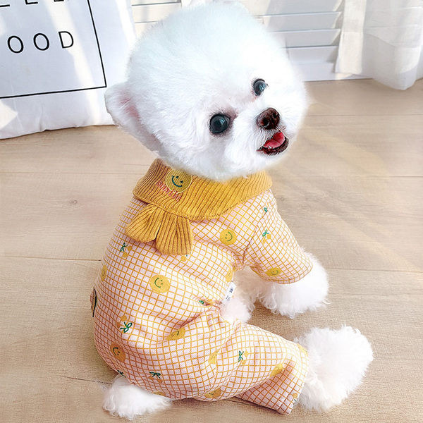 Värvilise mustriga talvejope koertele