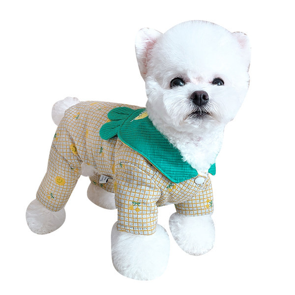 Värvilise mustriga talvejope koertele