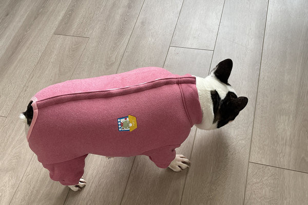 Vesta roz pentru caini