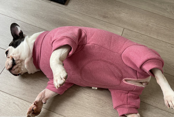 Vesta roz pentru caini