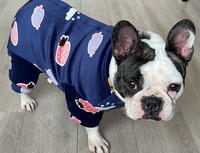 Moodsad aplikatsiooniga koerariided