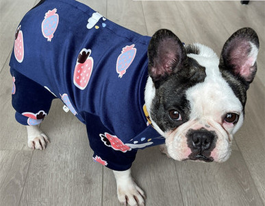 Moodsad aplikatsiooniga koerariided