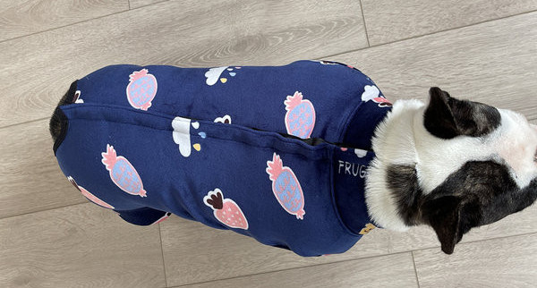 Moodsad aplikatsiooniga koerariided