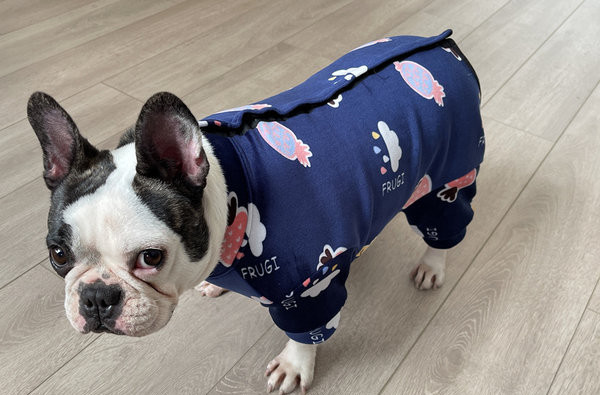 Moodsad aplikatsiooniga koerariided